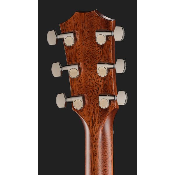 Taylor 814ce Cocobolo Next Gen LTD