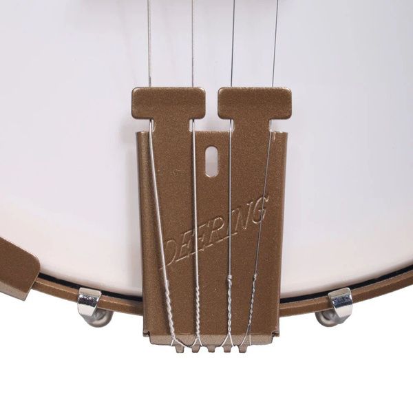 Deering Goodtime 19-Fret Tenor Banjo