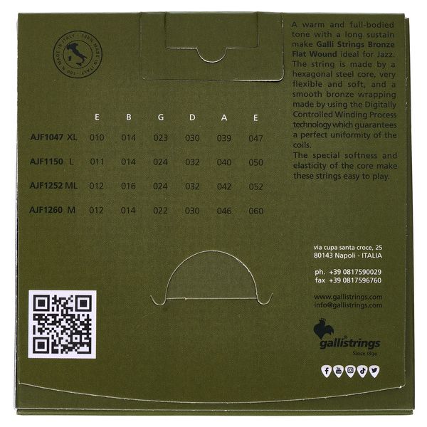 Galli Strings AJF1047 Acoustic Guitar Str.