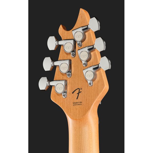 Evh Wolfgang Special TOM BM KGR