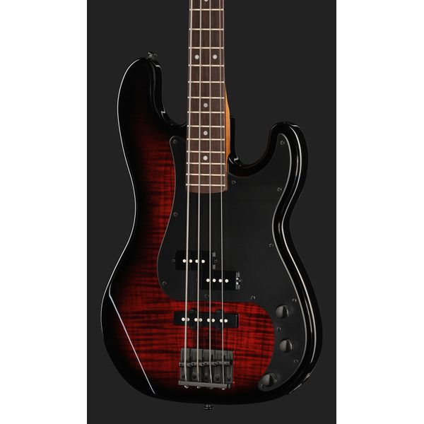 ESP LTD Surveyor-204DX RB