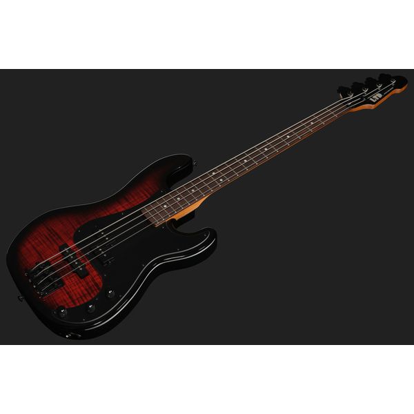 ESP LTD Surveyor-204DX RB