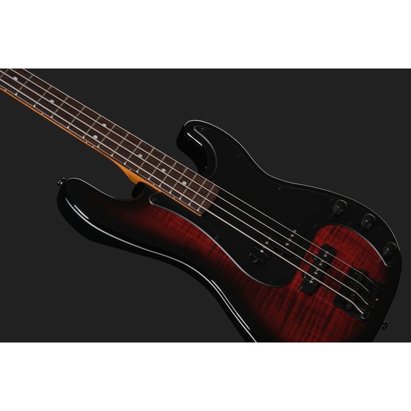 ESP LTD Surveyor-204DX RB
