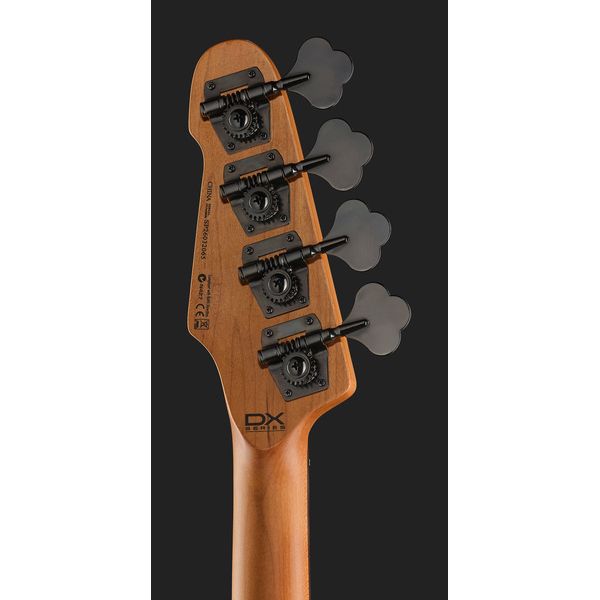 ESP LTD Surveyor-204DX RB