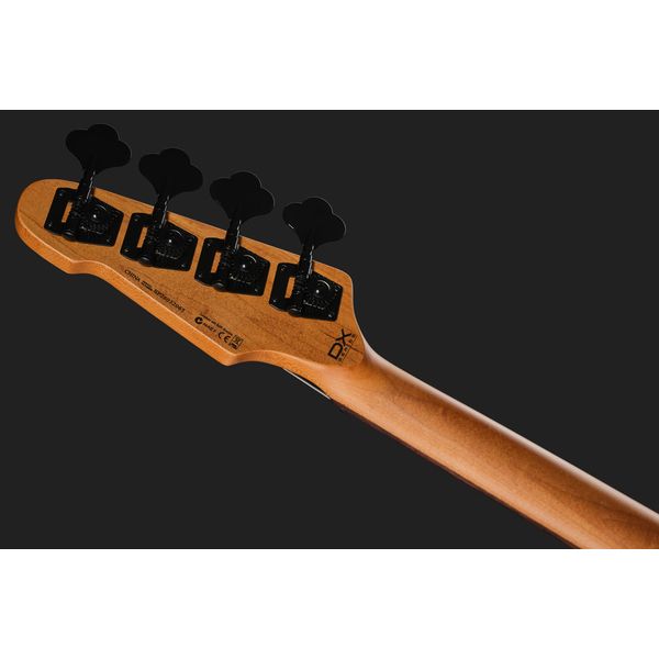 ESP LTD Surveyor-204DX RB