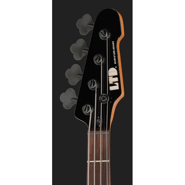 ESP LTD Surveyor-204DX BB