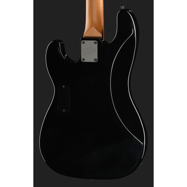 ESP LTD Surveyor-204DX BB
