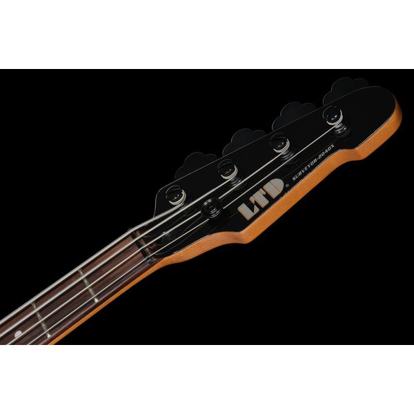 ESP LTD Surveyor-204DX BB