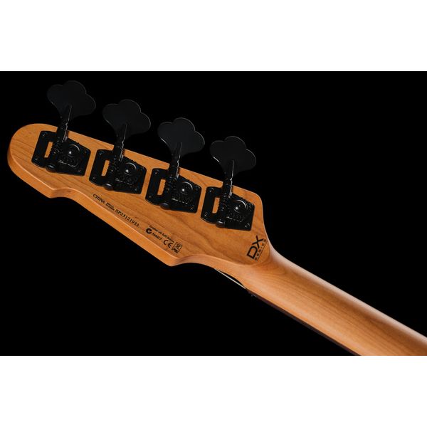 ESP LTD Surveyor-204DX BB