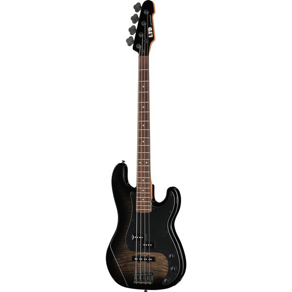 ESP LTD Surveyor-204DX BB