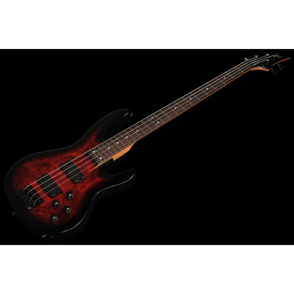 ESP LTD B-204DX RB
