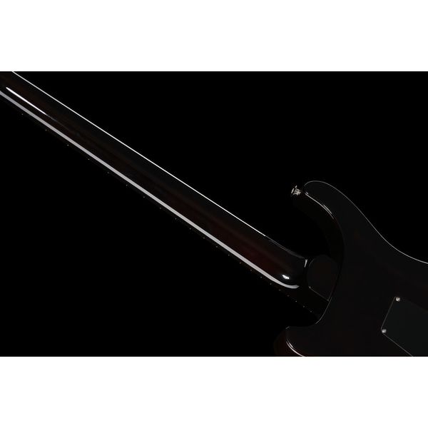 PRS Custom 24 Floyd BGWB