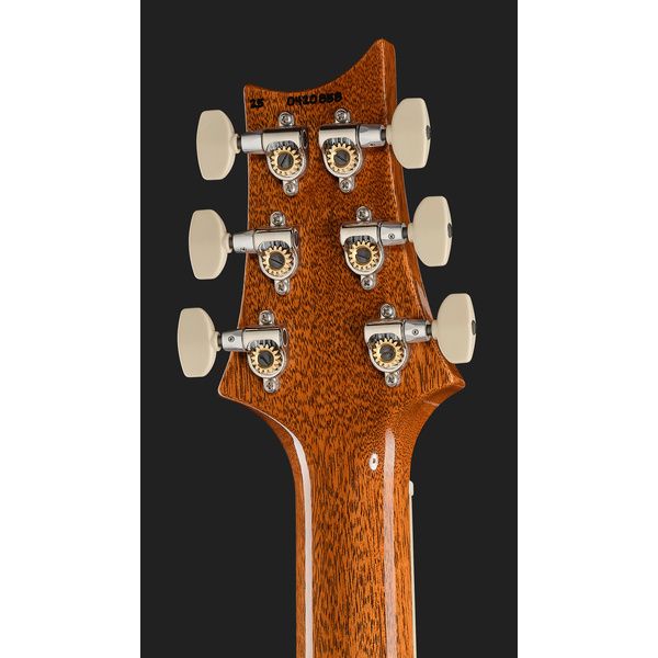 PRS McCarty 594 Aurora Borealis