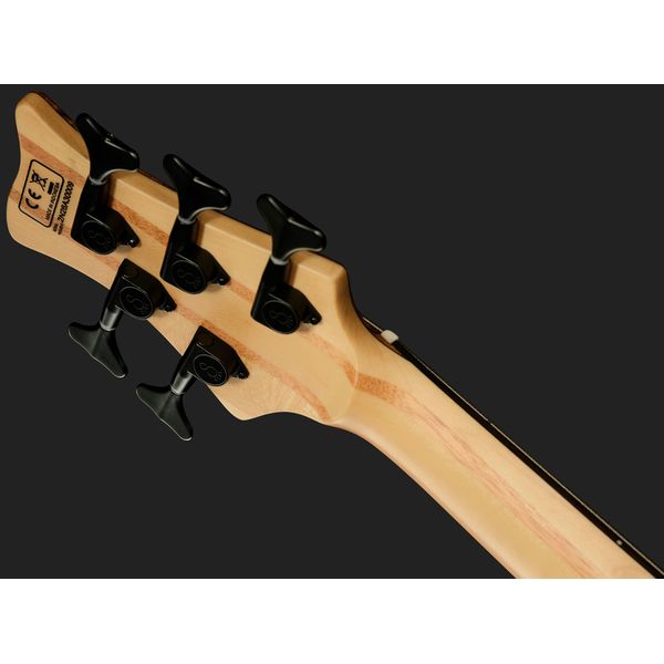 Marcus Miller F10 Dx 5 NT