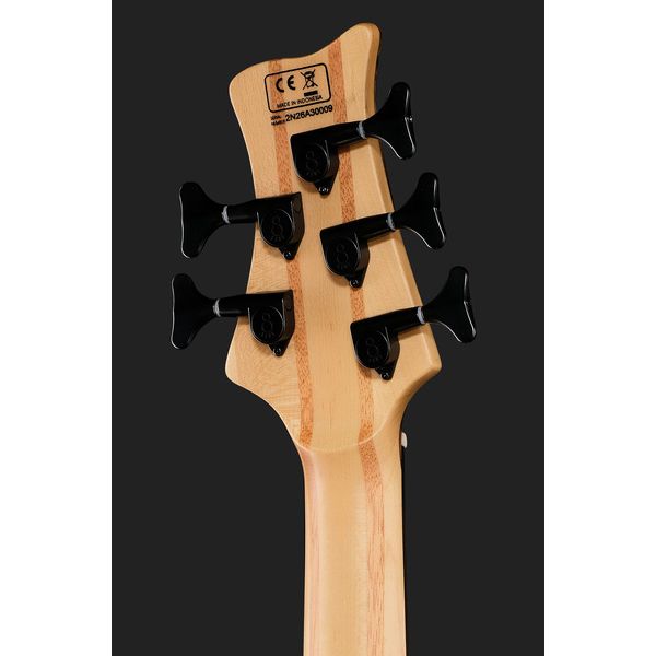 Marcus Miller F10 Dx 5 NT