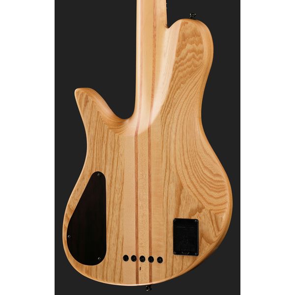 Marcus Miller F10 Dx 5 NT