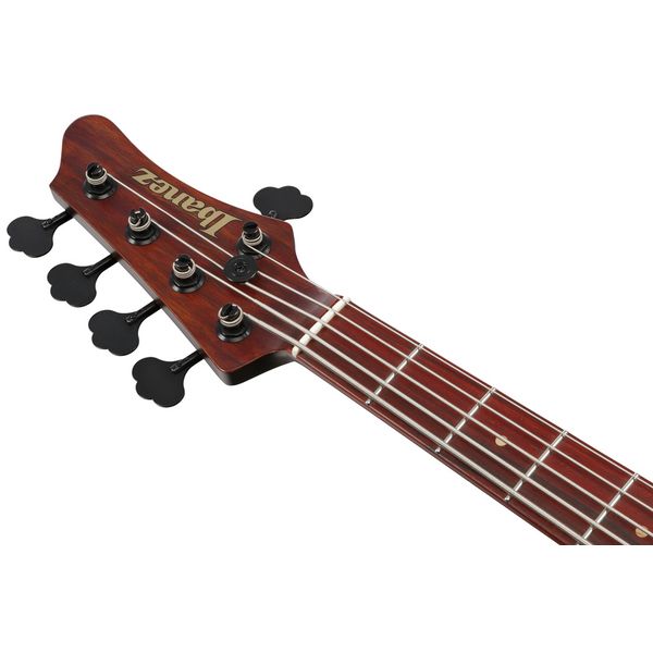 Ibanez IV2MDM Visions Mode