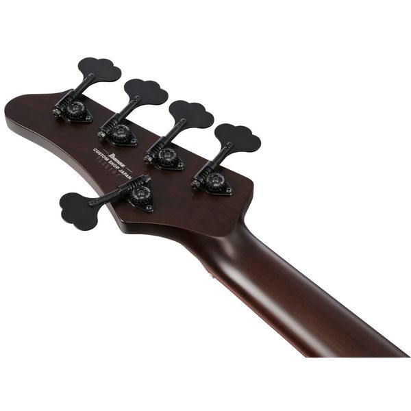 Ibanez IV2MDM Visions Mode