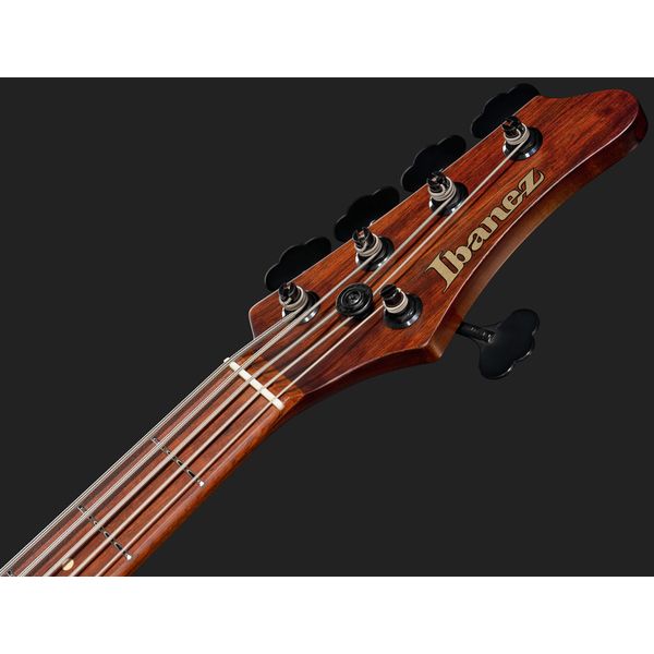 Ibanez IV2MDM Visions Mode
