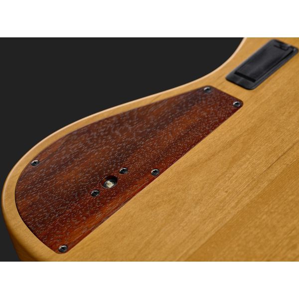 Ibanez IV2MDM Visions Mode