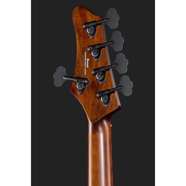 Ibanez IV2MDM Visions Mode
