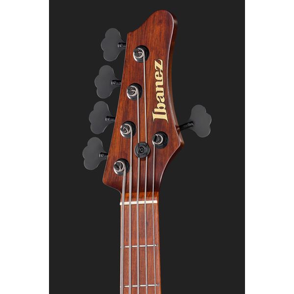Ibanez IV2MDM Visions Mode