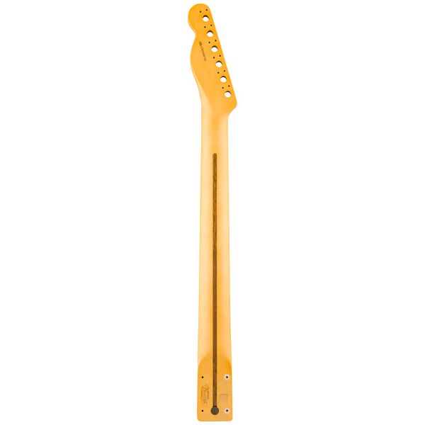 Fender Neck Am Pro Clsc Tele RW