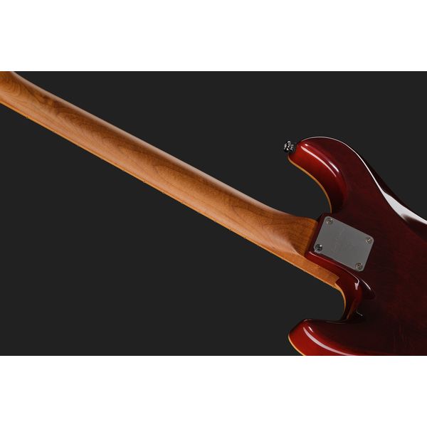 Larry Carlton S7 Ash Top Natural