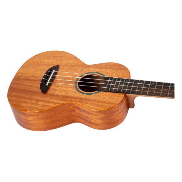 Flight Iris Tinta Tenor NA