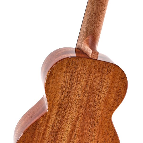 Flight Iris Tinta Tenor NA