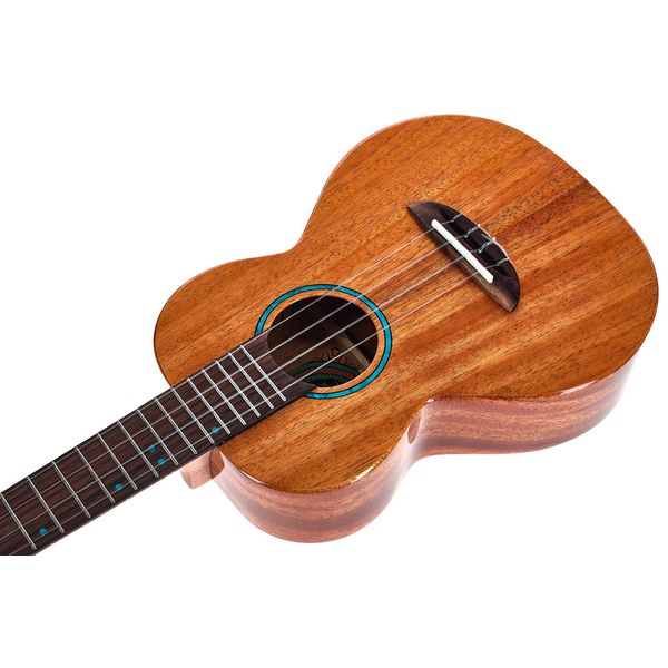 Flight Iris Tinta Tenor NA