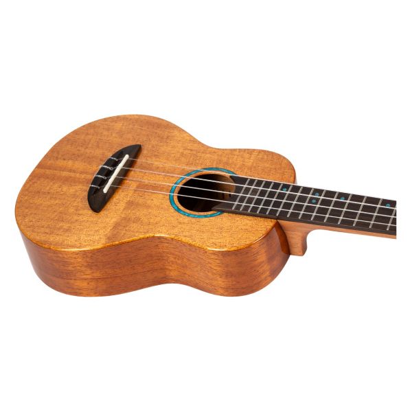 Flight Iris Tinta Concert NA