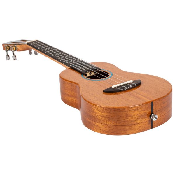 Flight Iris Tinta Concert NA