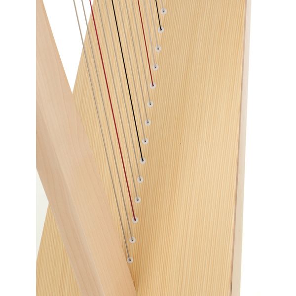 Salvi T2 Natural Sipario Biocarbon