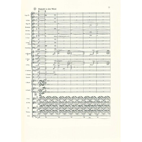 Edition Eulenburg Strauss Eine Alpensinfonie