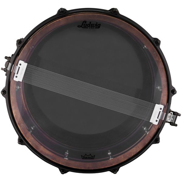 Ludwig 14"x6,5" Raw Ham. Copper Phon.