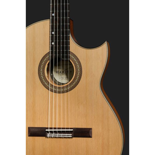 Hanika Thomann Custom Special