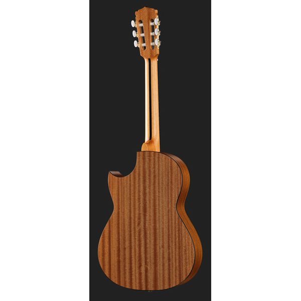 Hanika Thomann Custom Special