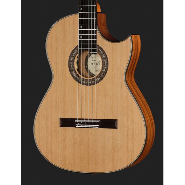 Hanika Thomann Custom Special