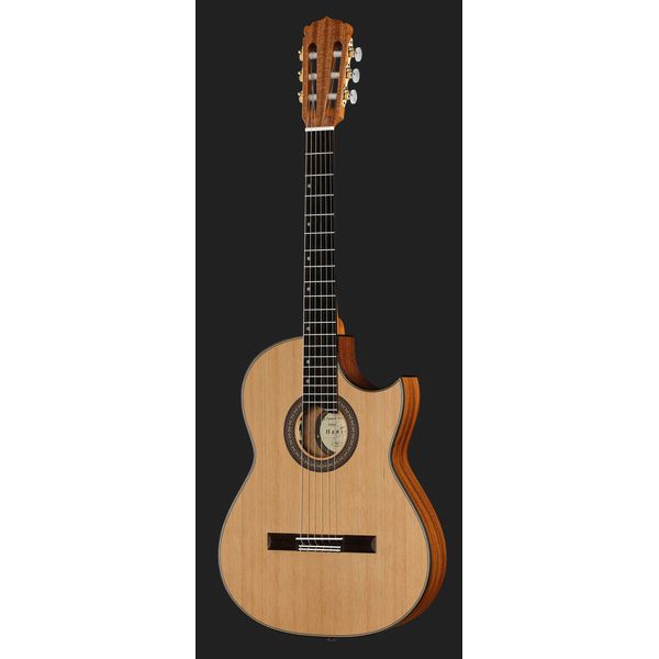 Hanika Thomann Custom Special