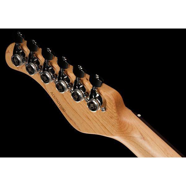 Mayones Guitars Aquila Aged V24 6 MMCG