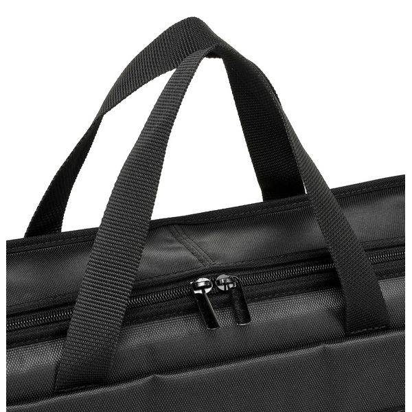 Horst Wünsche Soft Bag Schülerzither 32