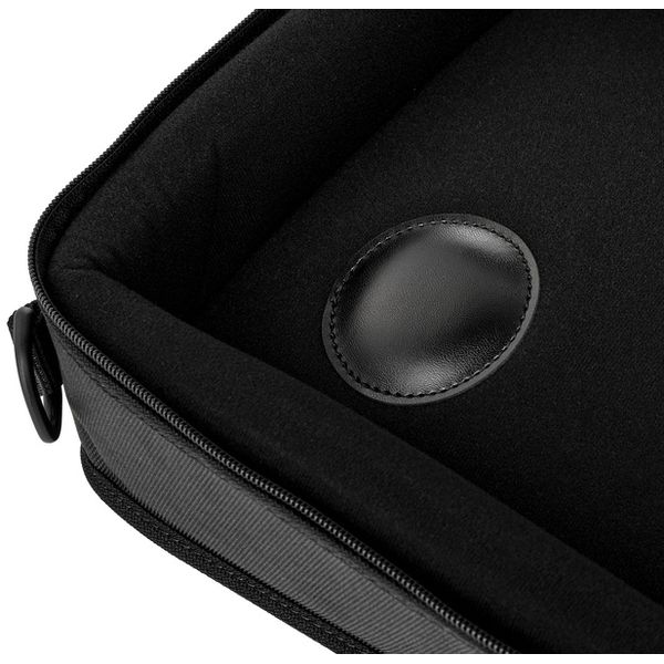 Horst Wünsche Soft Bag Schülerzither 32