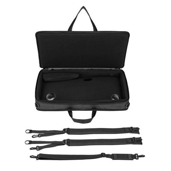 Horst Wünsche Soft Bag Schülerzither 32