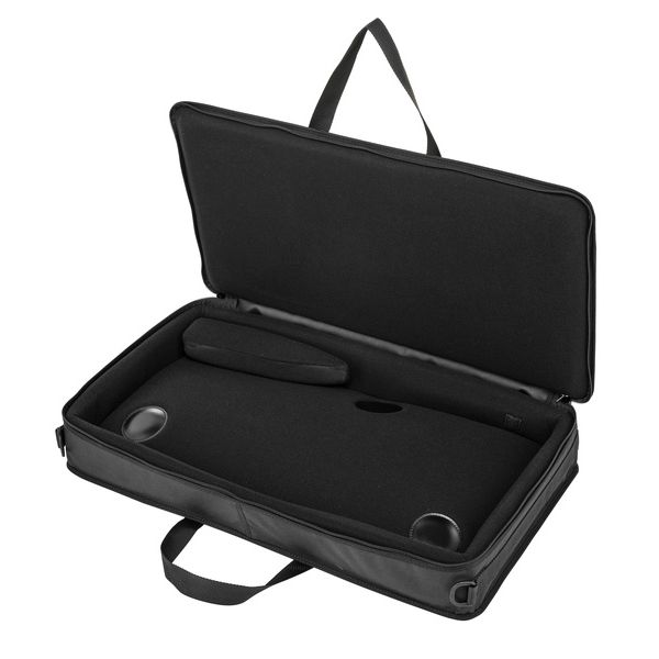 Horst Wünsche Soft Bag Schülerzither 32