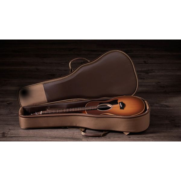 Taylor GS Mini-e Special Edition HB