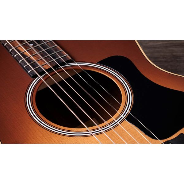 Taylor GS Mini-e Special Edition HB
