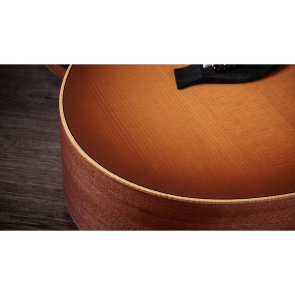 Taylor GS Mini-e Special Edition HB