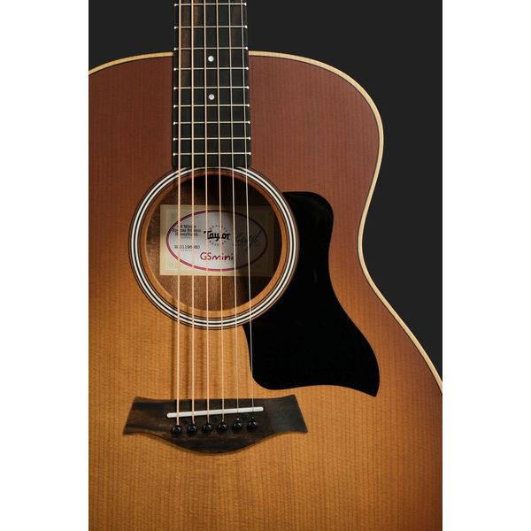 Taylor GS Mini-e Special Edition HB