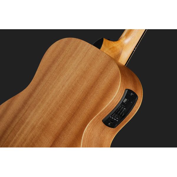 Taylor GS Mini-e Special Edition HB